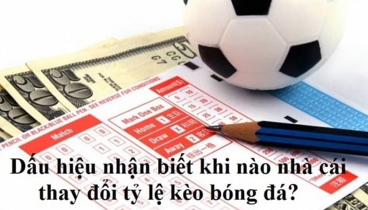 dấu hiệu nhà cái thay đổi tỷ lệ kèo